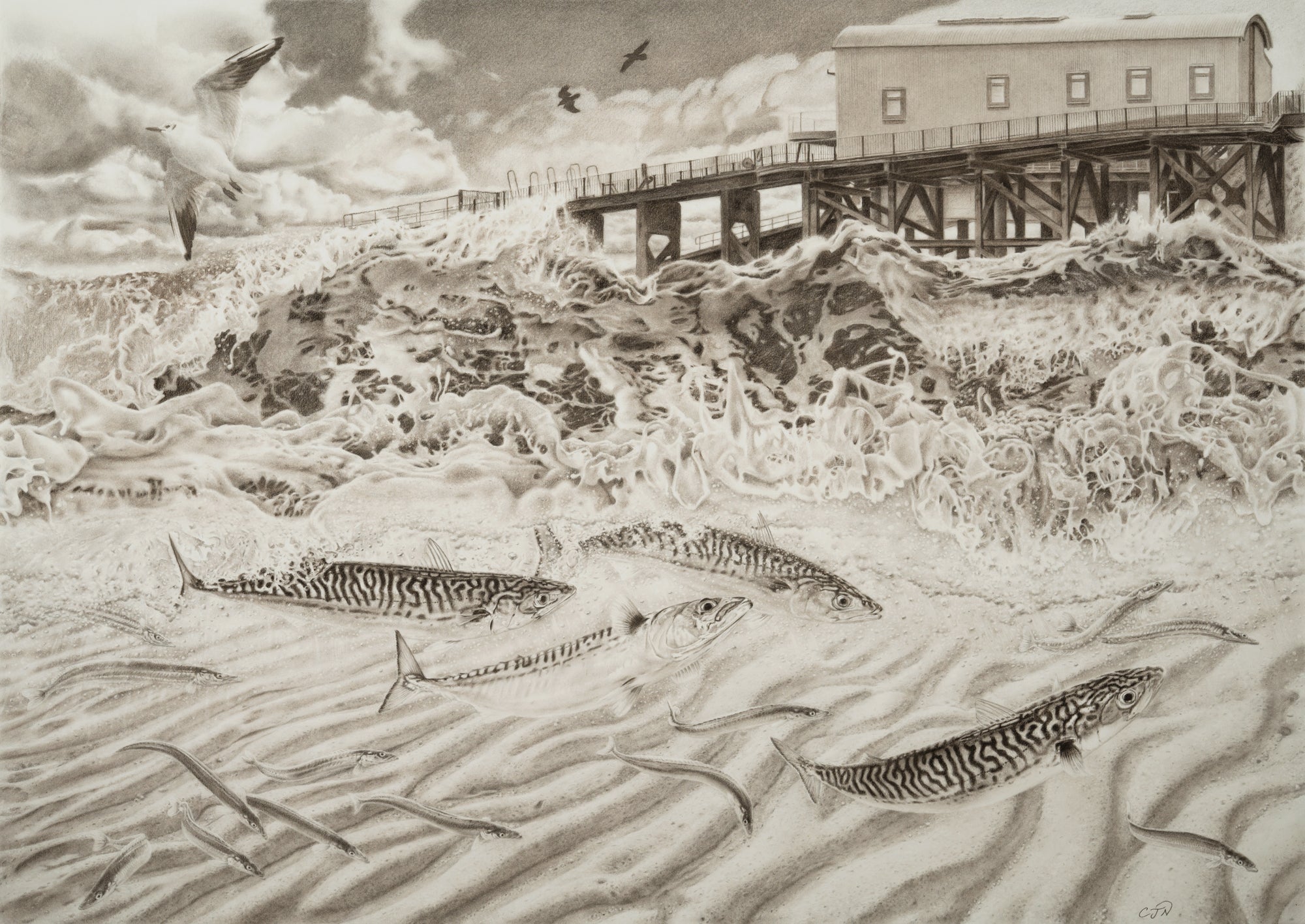 Tenby - Little fortress of the fishes, Giclee print.